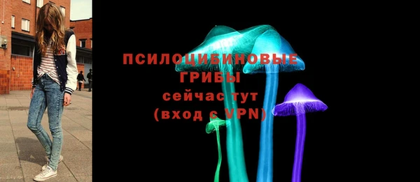 сатива Алзамай